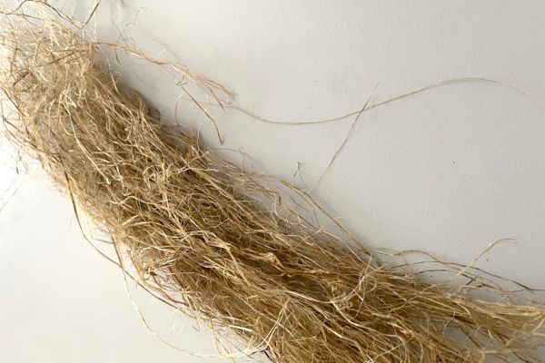 Fibra di Canapa